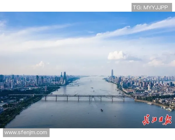 武汉篮球队的奋斗历程与荣耀时刻全景回顾