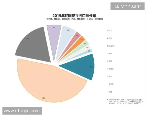 独家分析：重庆羽毛球队的实力对比